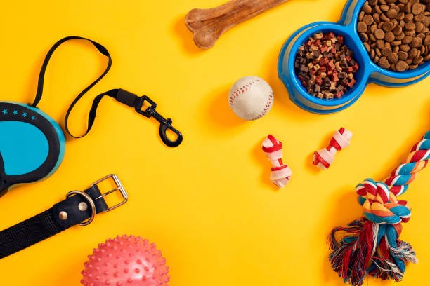 Dog accessories on yellow background. Top view. Pets and animals concept. Still life. Copy space. Flat lay